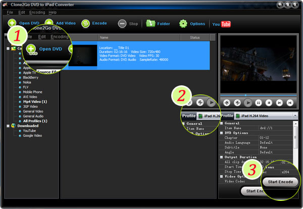 Convert DVD to iPad mini video